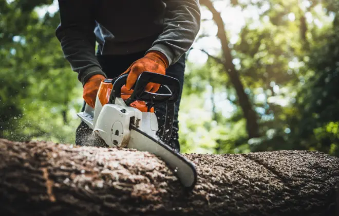 「美しい自然の中で働く」林業とは